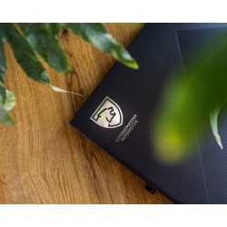 Chromemaster Automotive 2025 Sticker – Silver 45x50 mm