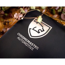 Chromemaster Automotive 2025 Sticker – Silver 45x50 mm