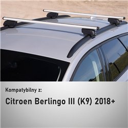 Bagażnik dachowy do Citroen Berlingo III 2018- | Srebr