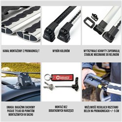 Roof rack for Volkswagen VW Caddy (SB | SK) 2020- AIR-3 Silver Aluminum Pla