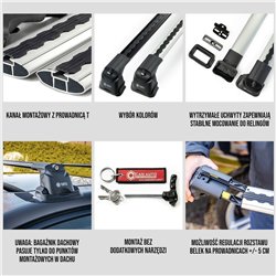 Roof rack for Volkswagen VW Transporter (T6) 2015-2019 AIR-3 Aluminum Plas