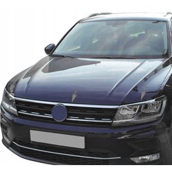 Grille trims under front lights for Volkswagen VW Tiguan II AD1/BW PRE-FL 2