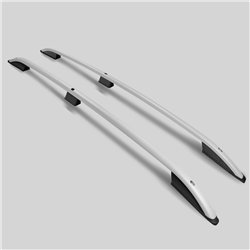 Roof rails for Peugeot Partner II B9 2008-2018 SKYPORT Aluminum Plastic