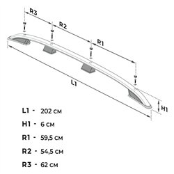 Roof rails for Ford Grand Transit Connect III Mk3 V761 H1 L2 LWB 2024- SKYP