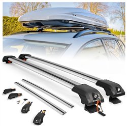 Bagażnik dachowy Renault Trafic II 2001-2014 | Aluminium plastik