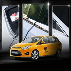 Listwy pod szyby boczne do Ford Grand C-Max II 2010-2019 stal
