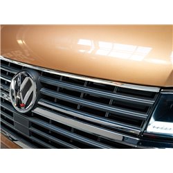 copy of Polished Stainless Front Upper Grille Trim Volkswagen T6 2015+