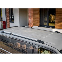 Roof rails Volkswagen VW T6.1 2019+ SHORT Silver - split model